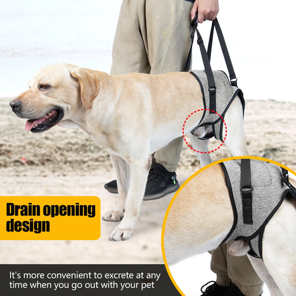 Soft Padded Adjustable Dog Lift Harness