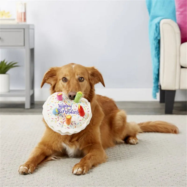 Pet Birthday Cake Shape Toy