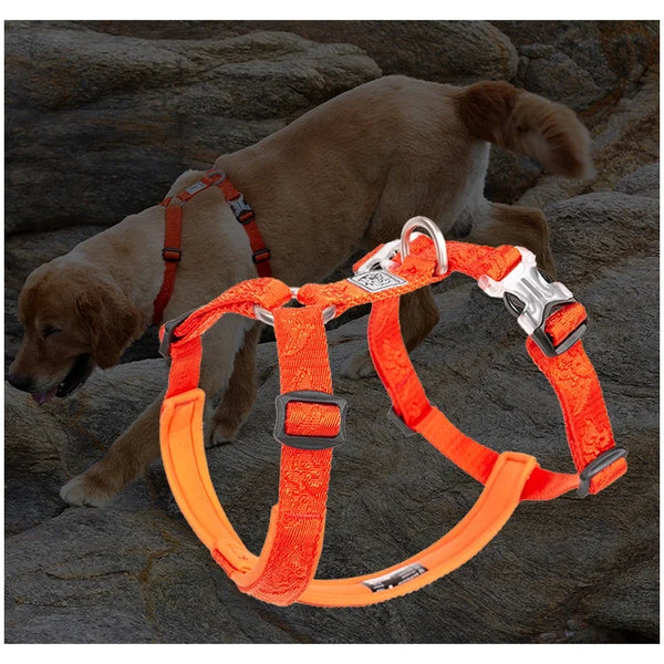 3M Reflective Straps Pet Premium Harness