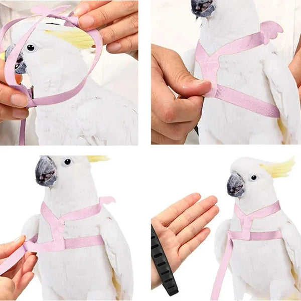 Outdoor Parrot Flying Harness