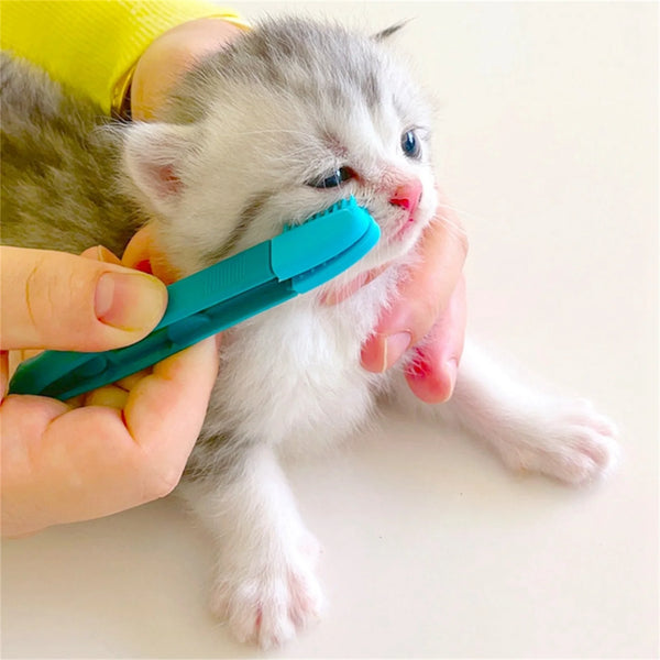 Pet Eye Cleaning Brush