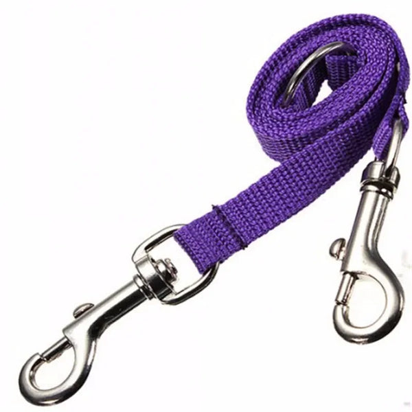 Two In One Strong Nylon Pet Leash