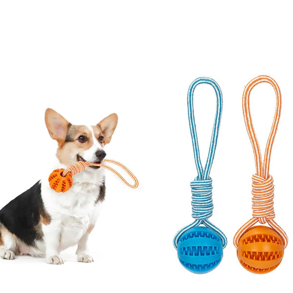 Pet Treat Balls with Rope