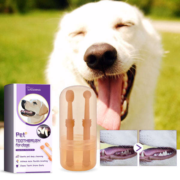 Pet Silicone 2 Sets  Brush + Toothbrush