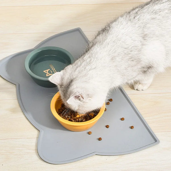 Silicone Pet Feeding Bowl