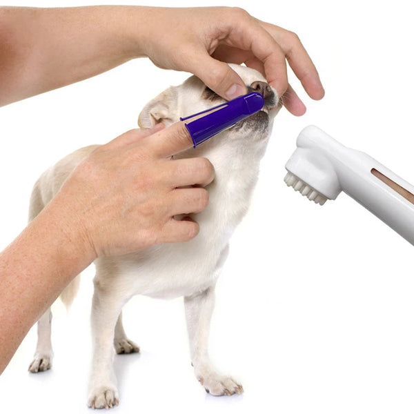 Pet Oral And Teeth Cleaning Toothpaste