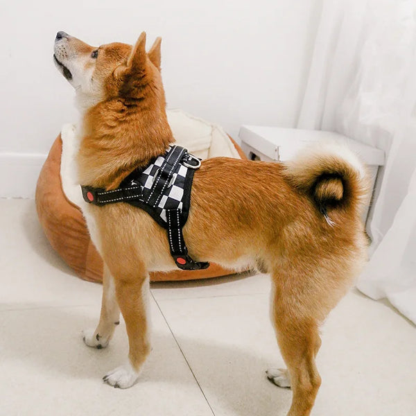 Large Pet Saddle Harness