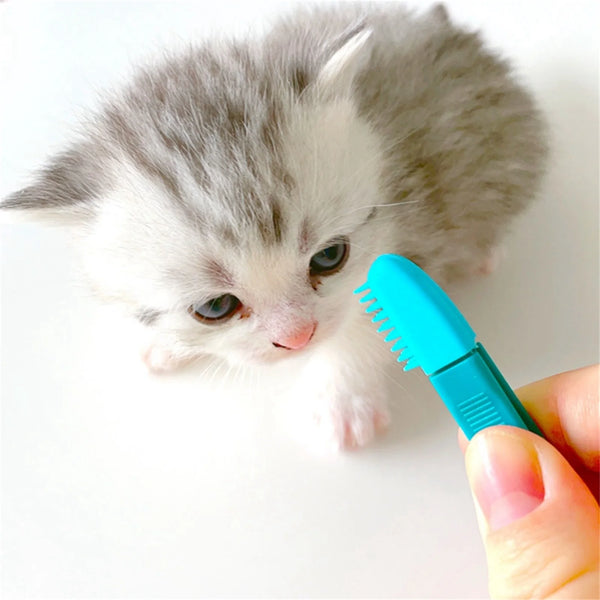 Pet Eye Cleaning Brush