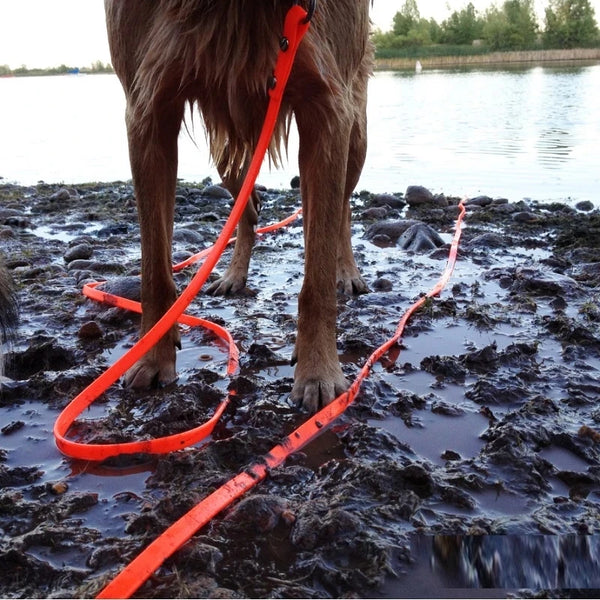 5m 10m Waterproof Dog Pet Leashes