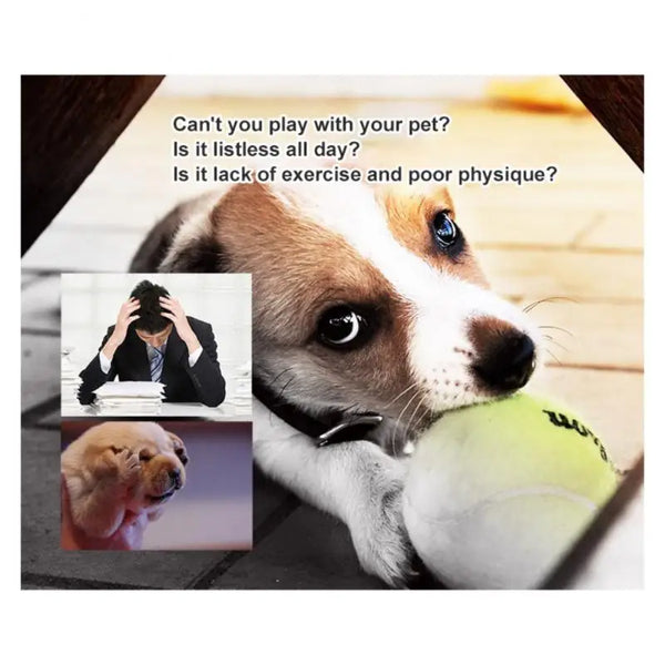 1pc Pet Dog Bite Ball