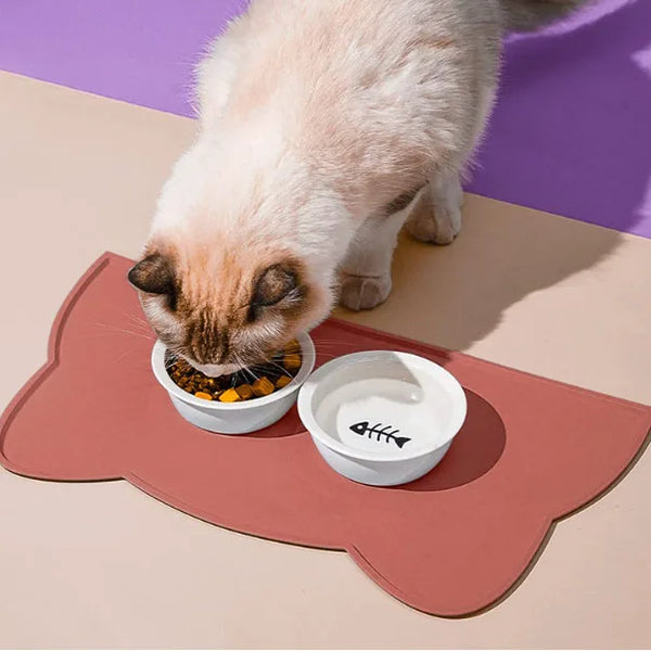 Silicone Pet Feeding Bowl