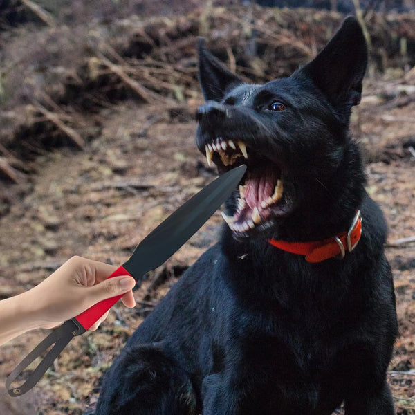 Dog  Nylon Chewing Training Stick