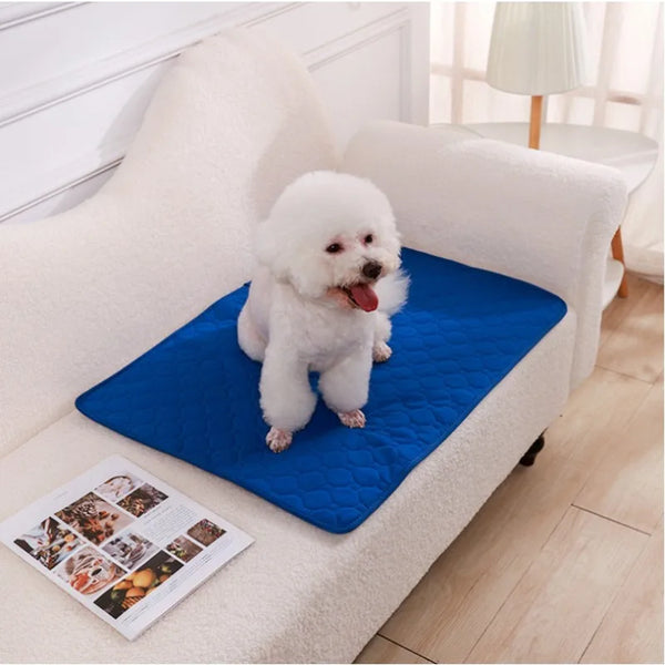 Absorbent Diaper Washable Pet Bed