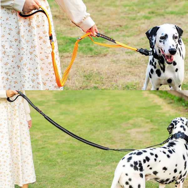 Pet Leashes With Car Seatbelt