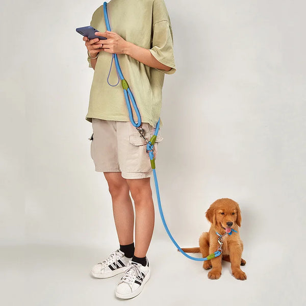 Reflective Nylon Pet Leashes