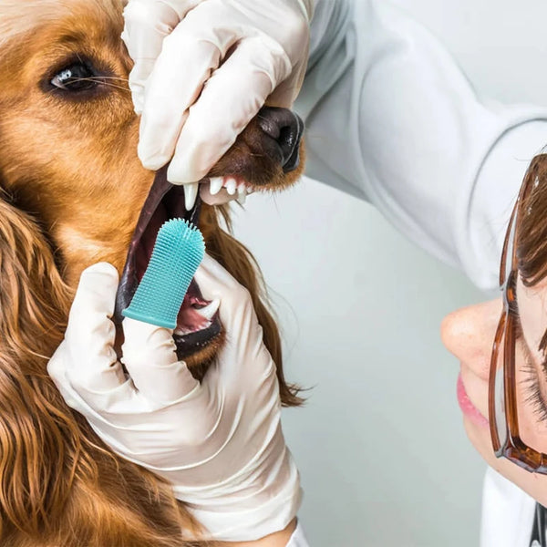 Silicone Dog Finger Toothbrush