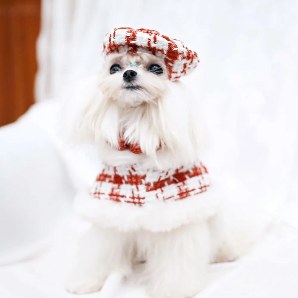 Dog Christmas Clothes