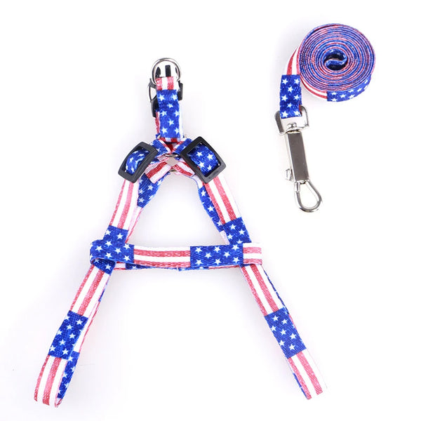 Pet's  Leash And Harness