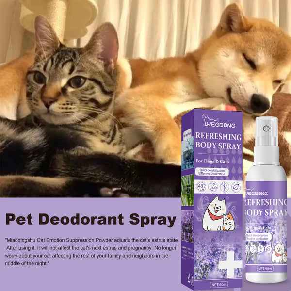 Pet Anti Itch Spray & Scent