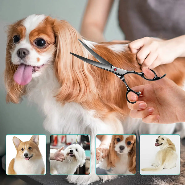 Portable Curved Pet Hair Scissors