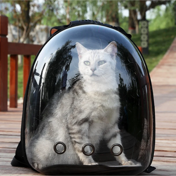 Cat Portable And Transparent Space Capsules Backpacks