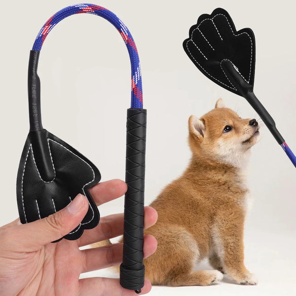 Pet Interactive Toy And Training Stick