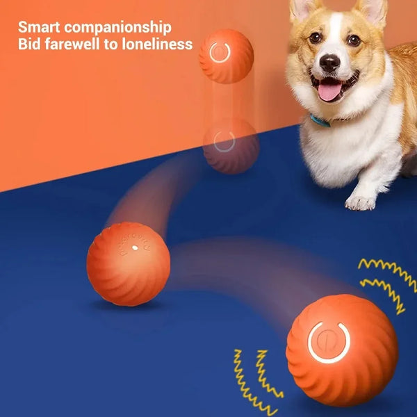 Dog  Automatic Moving Bouncing Rolling Ball