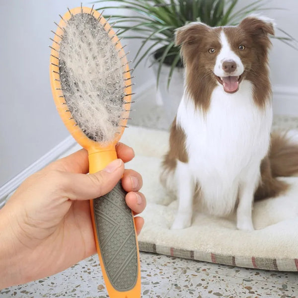 Double-sided Hair Remover  Brush