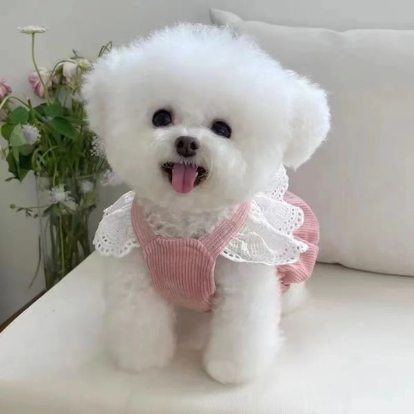 Princess Dress Pet Bowknot Sweet Sweater