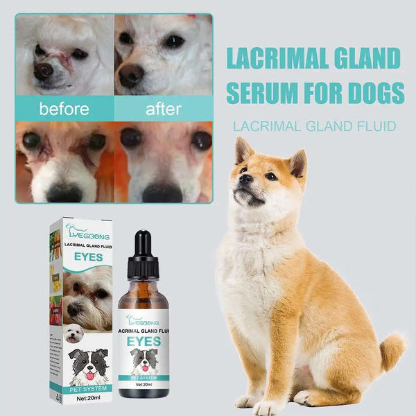 20ml Pet Eye  Care Drops