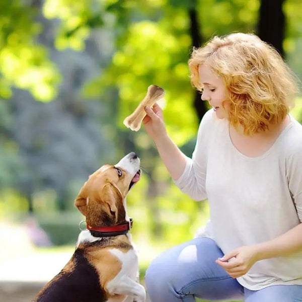 Teeth Clean Stick Treats Dogs Bones