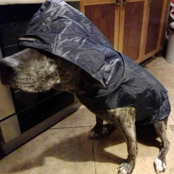 Waterproof Reflective Pet Hooded Raincoat