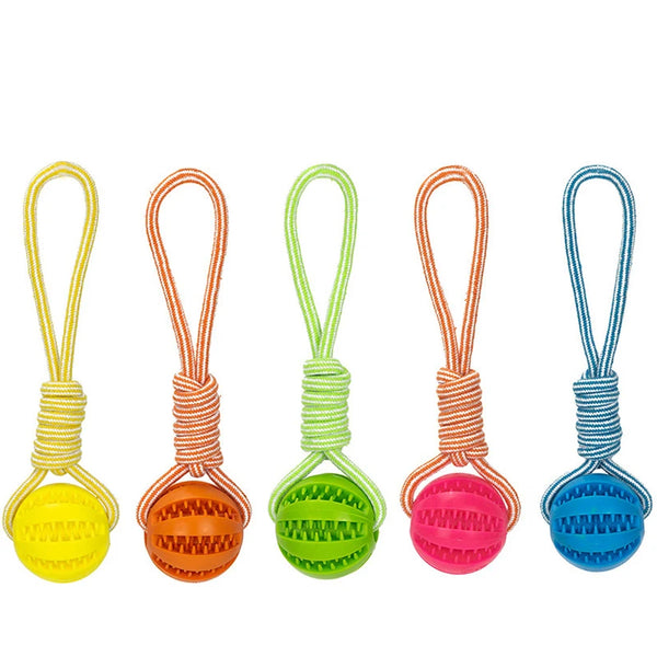 Pet Treat Balls with Rope