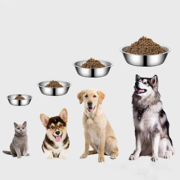 Stainless Steel Pet Feeding Bowl