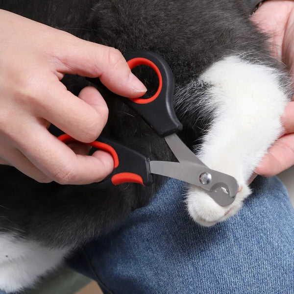 1PC Pet  Dog Cat Nail Clipper