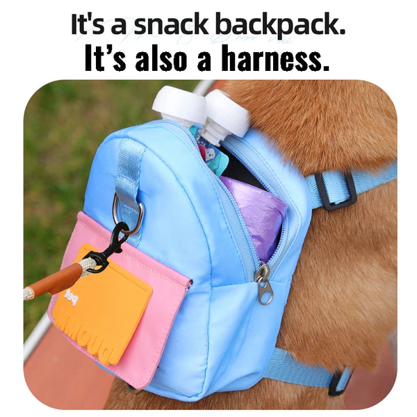 Pet Harness and Bag