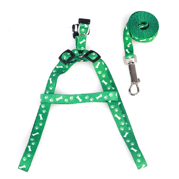 Pet's  Leash And Harness