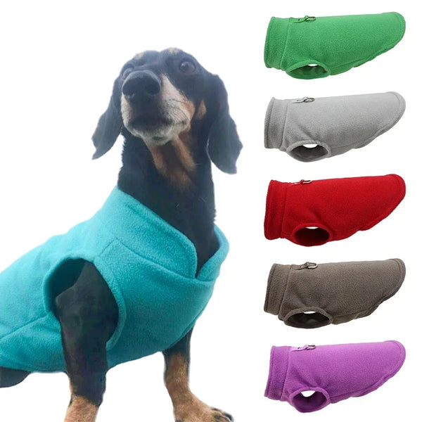 Warm Fleece Dogs Coat With D-Ring