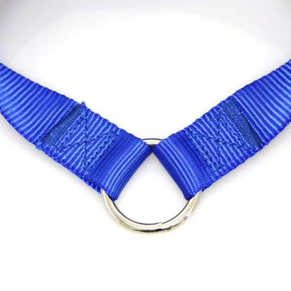 Two In One Strong Nylon Pet Leash