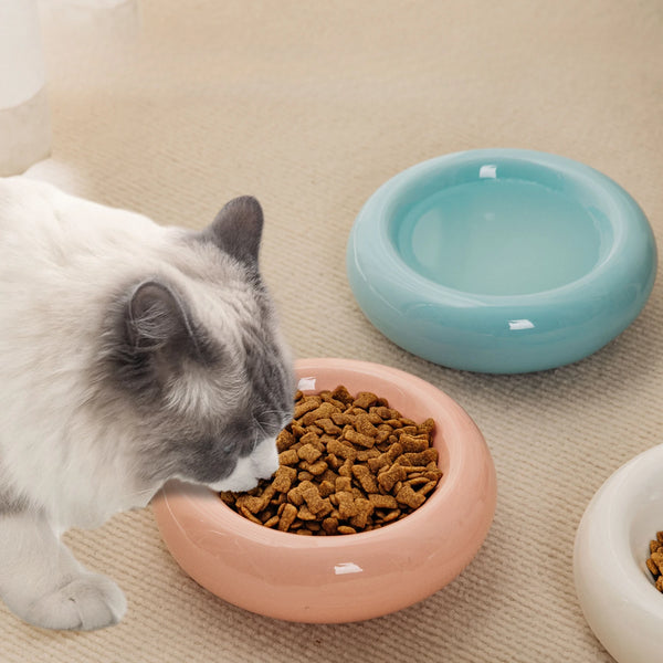 Anti-tipping Pet Feeders