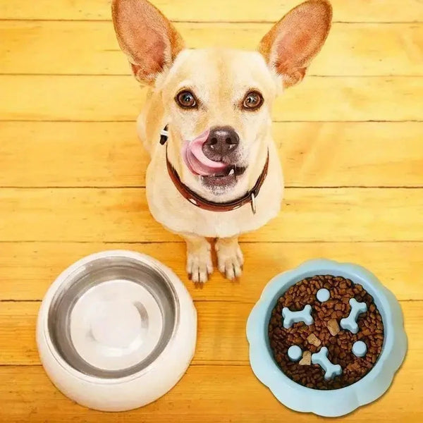 Pet Anti-choking Bowl