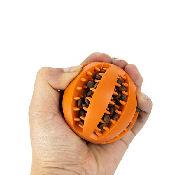 Pet Treat Balls with Rope