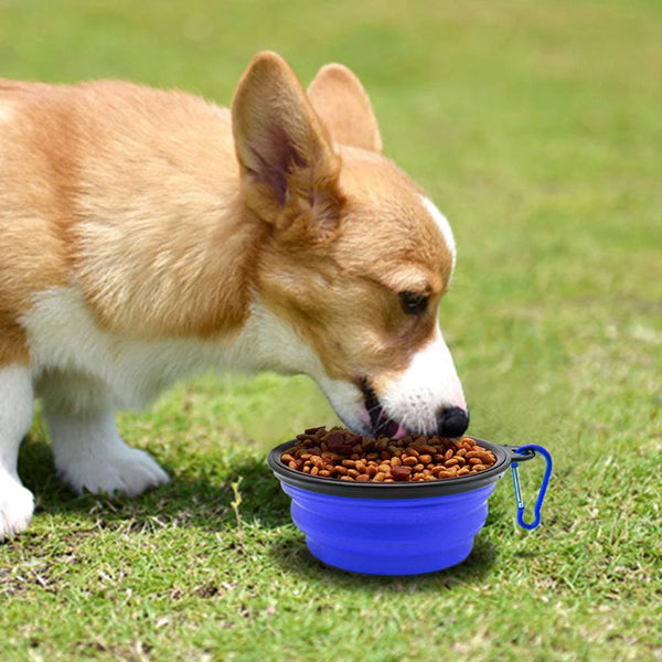 1000ML Silicone Dog Feeder Bowls