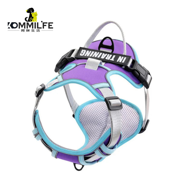 Nylon Adjustable Dog Harness