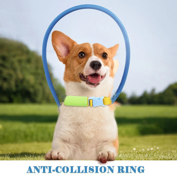 Blind Pet Anti-collision Collars Supplies