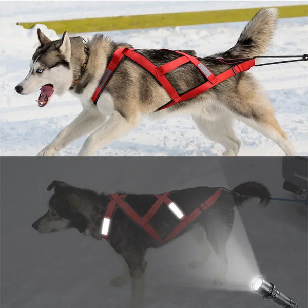 Pet Adjustable Reflective Harness