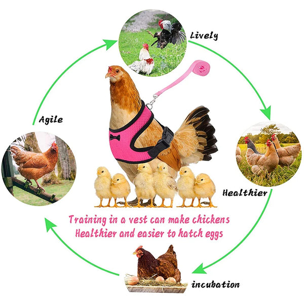 Adjustable Chicken Harness Leash