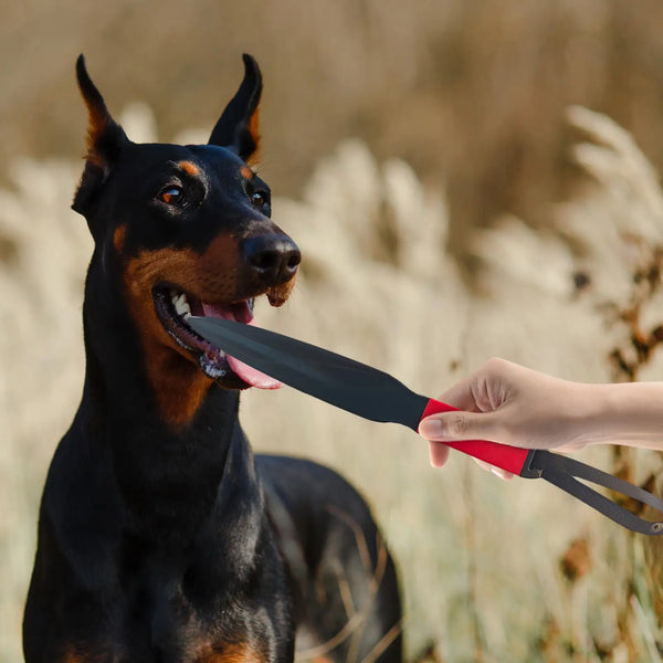 Dog  Nylon Chewing Training Stick