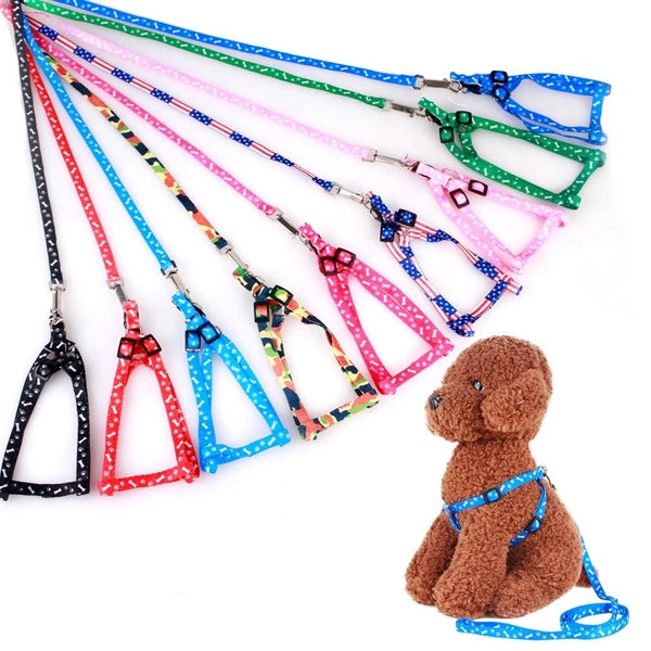 Pet's  Leash And Harness