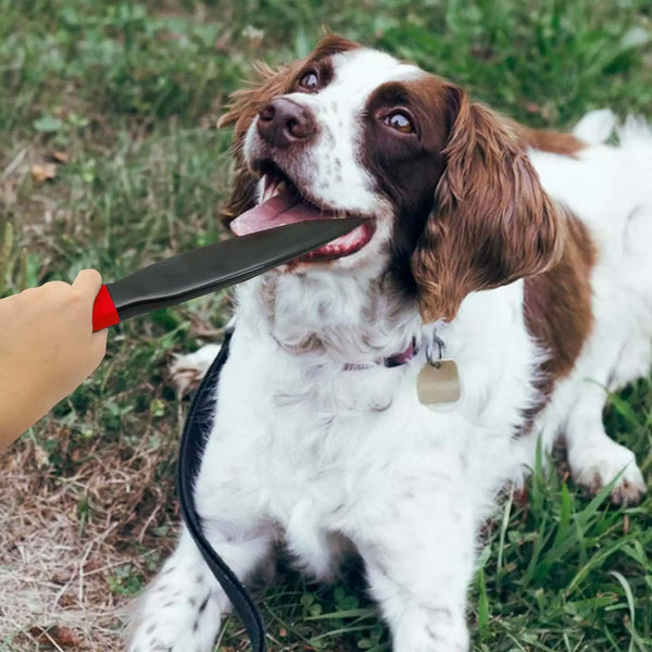 Dog  Nylon Chewing Training Stick